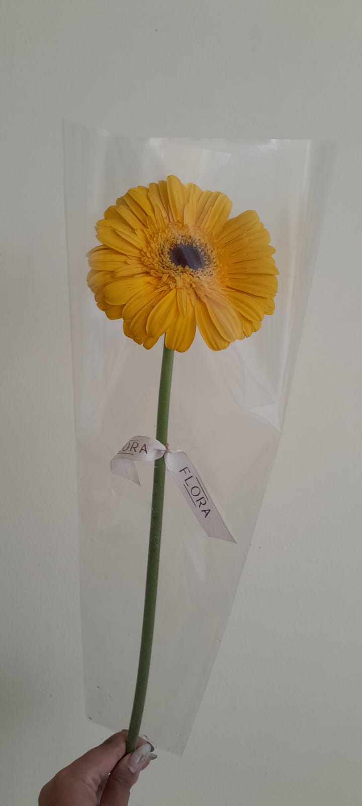 Servicios corporativos