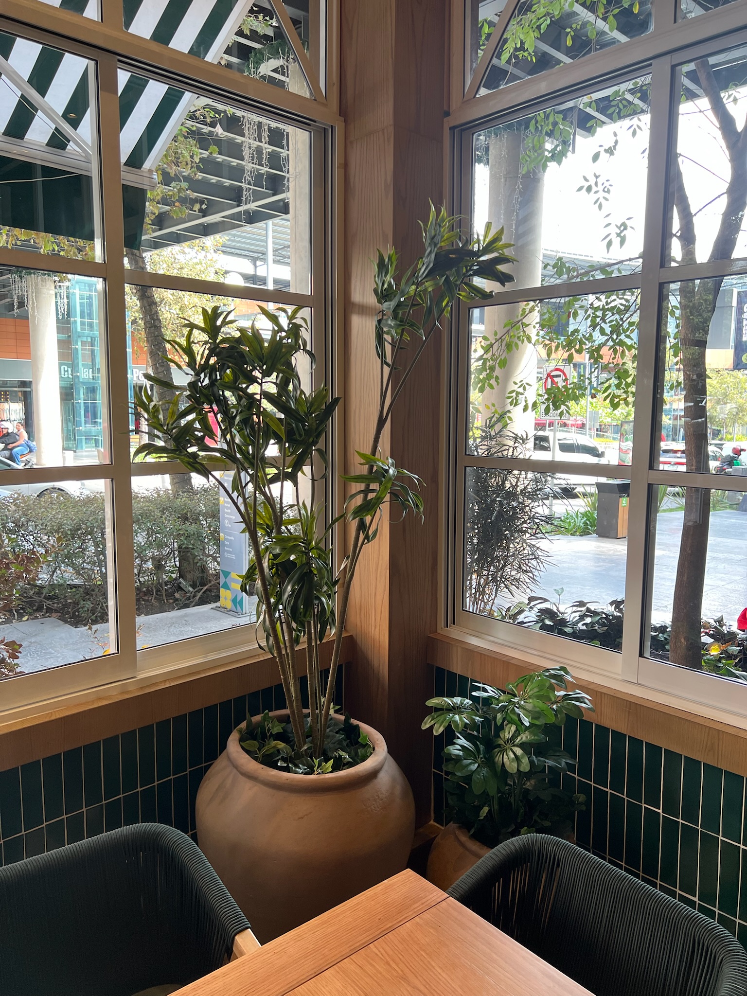 Paisajismo natural y artificial